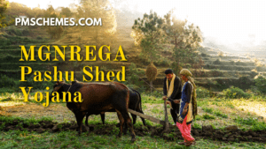 MGNREGA Pashu Shed Yojana