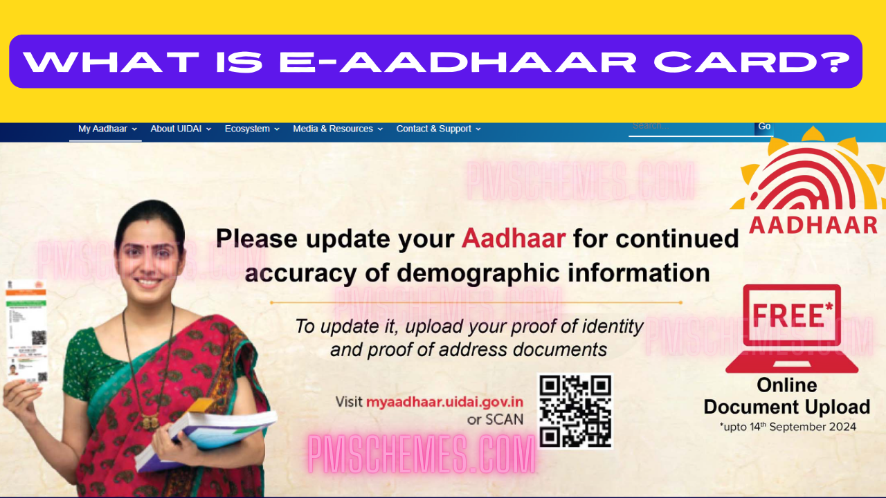 What is e-Aadhaar Card